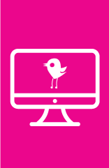 Website Design Icon